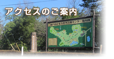 アクセスのご案内